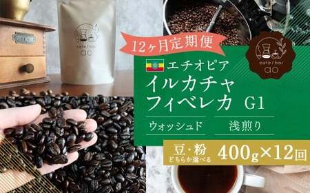【粉】 【12か月定期便】 エチオピア イルガチャフィベレカG1　ウォッシュド （浅煎り） 400g コーヒー 珈琲 粉 こな