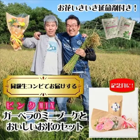 12月発送!同級生コンビでお届け　ガーベラピンクブーケとおいしいお米のセット・お花長持ち栄養剤付き!【1708240】