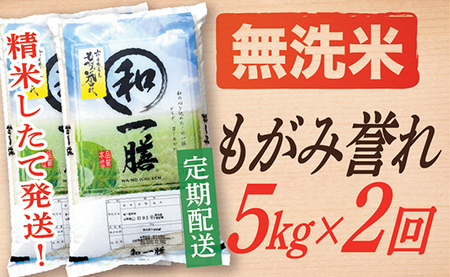 【定期便】【無洗米】 令和8年産予約 もがみ誉れ 5kg (5kg×1) 2回配送