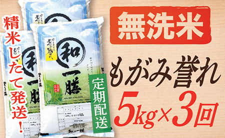 【定期便】【無洗米】 令和8年産予約 もがみ誉れ 5kg (5kg×1) 3回配送