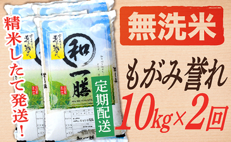 【定期便】【無洗米】 令和8年産予約 もがみ誉れ 10kg (5kg×2) 2回配送