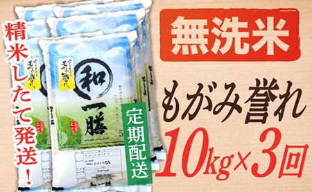 【定期便】【無洗米】 令和8年産予約 もがみ誉れ 10kg (5kg×2) 3回配送