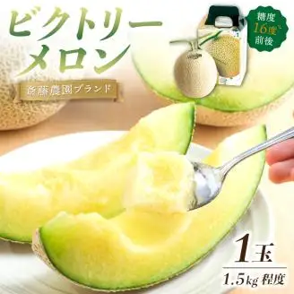 【0247-4】斎藤農園ブランド「ビクトリーメロン」アールスメロン（マスクメロン）1玉 1.5kg程度≪先行予約2026年6月下旬以降発送分≫