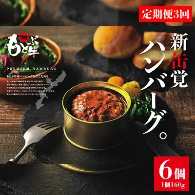 ハンバーグ【定期便3回】もとぶ牧場PREMIUMハンバーグ缶ギフト (160g×6個) 