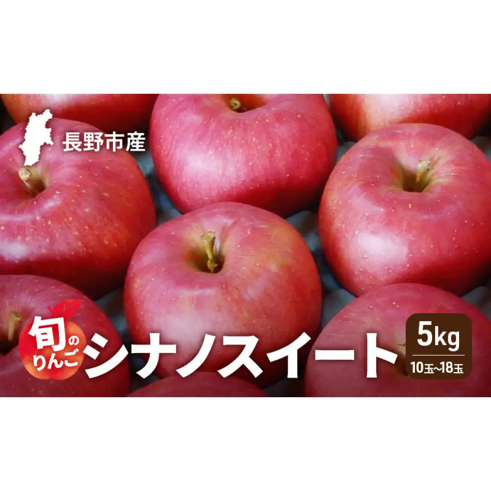 2026年発送　長野市産　旬のりんご　シナノスイート5kg　10玉～18玉 りんご リンゴ 果物 フルーツ 秋
