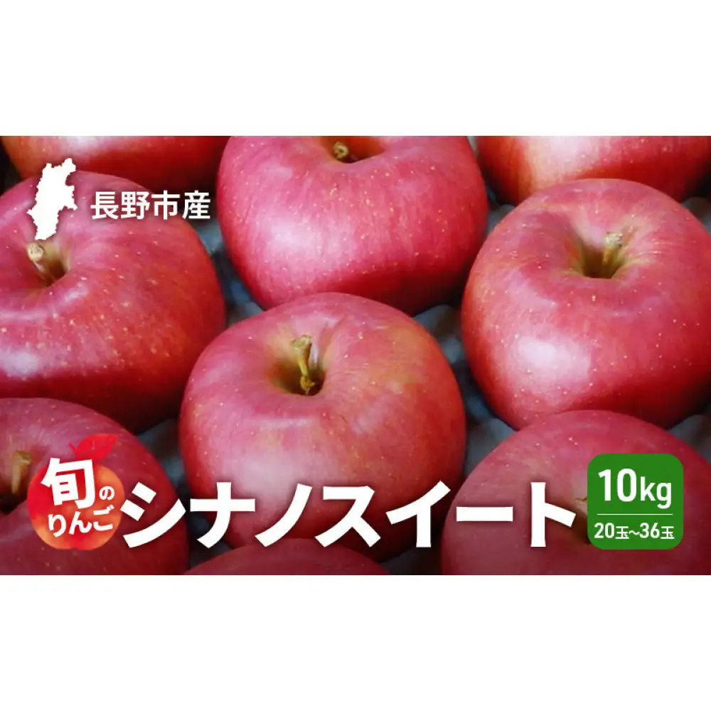2026年発送　長野市産　旬のりんご　シナノスイート10kg　20玉～36玉 りんご リンゴ 果物 フルーツ 秋