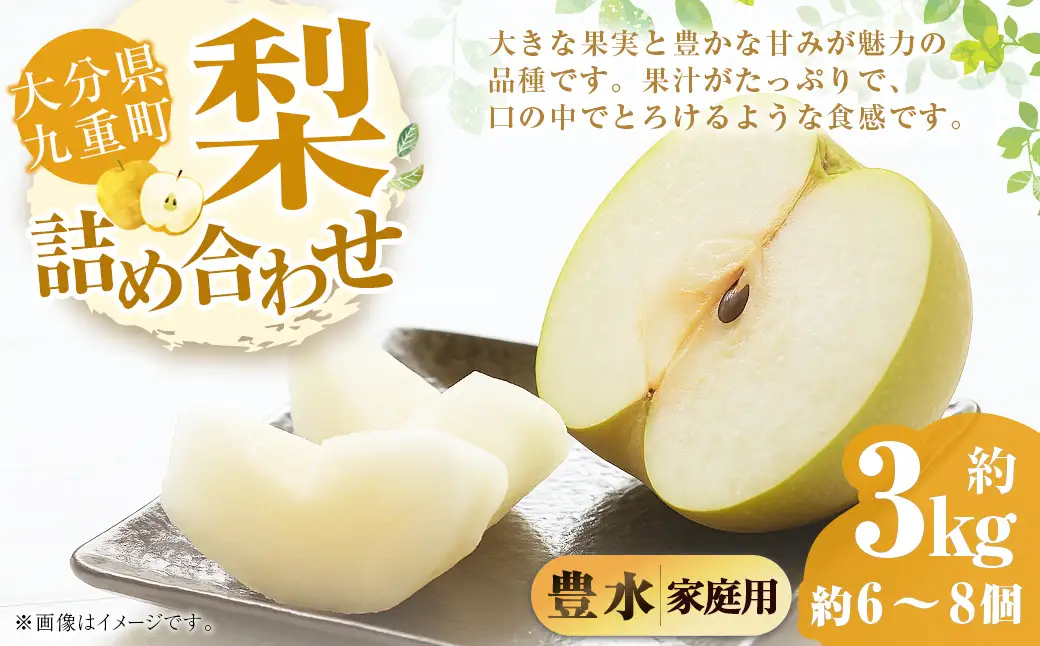 【ご家庭用】 九重町産 豊水 約3kg（約6～8個） なし ナシ ほうすい 果物 くだもの フルーツ 【2026年8月下旬-2026年9月上旬発送】