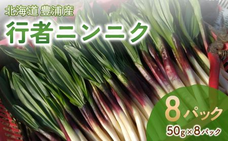【2027年2月上旬～3月上旬迄発送予定】行者ニンニク 50g×8パック　北海道 豊浦町産 アイヌネギ ヒトビロ キトビロ TYUK004
