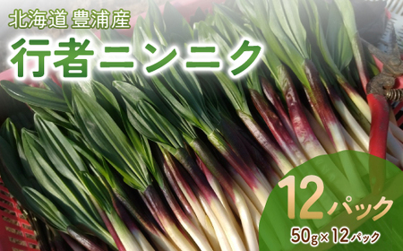 【2027年2月上旬～3月上旬迄発送予定】行者ニンニク 50g×12パック　北海道 豊浦町産 アイヌネギ ヒトビロ キトビロ TYUK005