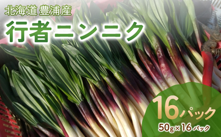【2027年2月上旬～3月上旬迄発送予定】行者ニンニク 50g×16パック　北海道 豊浦町産 アイヌネギ ヒトビロ キトビロ TYUK006