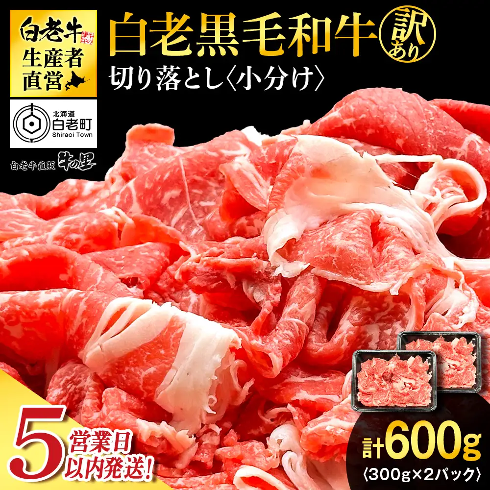 【5営業日以内発送】【訳あり】白老産 黒毛和牛 切り落とし 300g×2パック