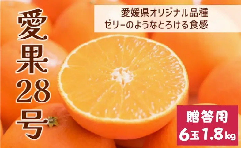 【2026年先行予約】 みかん 愛果28号 1.8kg 6玉 贈答用 紅まどんな同一品種 【2026年12月以降順次発送予定】 愛媛 数量限定 愛媛県産 人気 柑橘 フルーツ 国産 おすすめ 伊予市｜B534