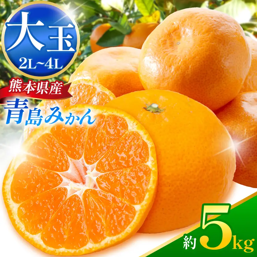 青島みかん (2L～4L) 約5kg | iFARM 岩城農園