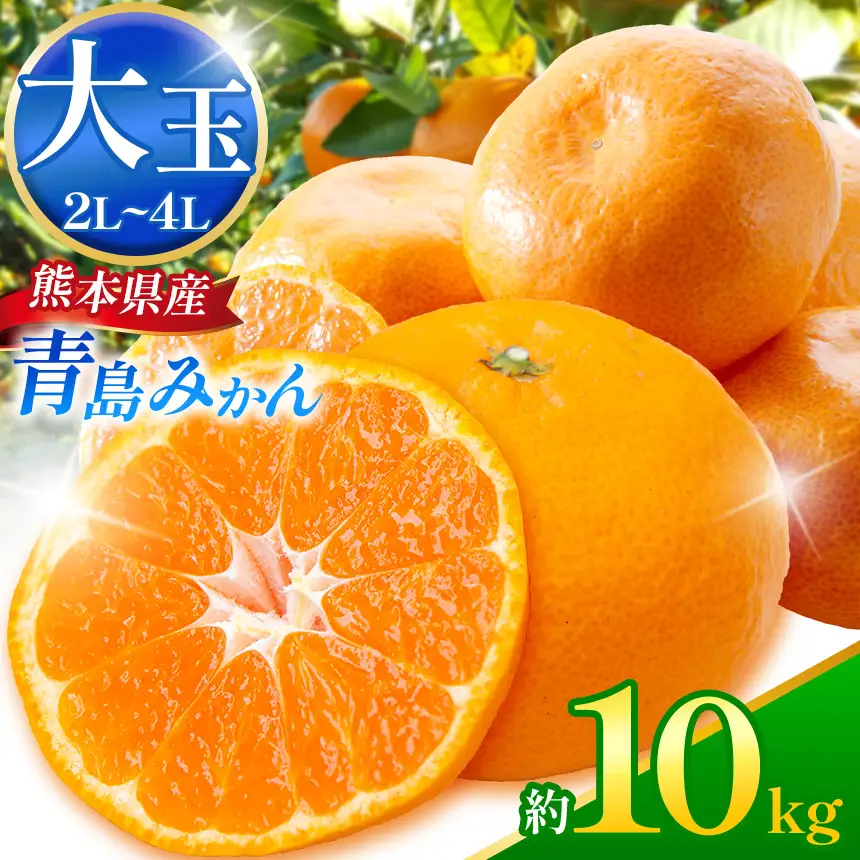 青島みかん (2L～4L) 約10kg｜iFARM 岩城農園