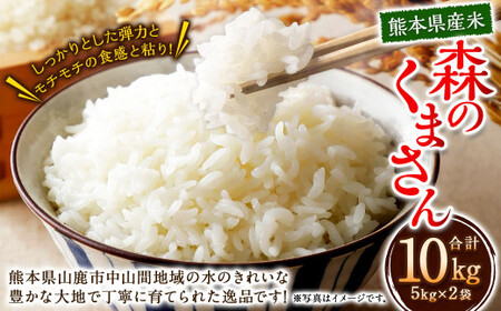 【令和8年度産】 熊本県産 米 森のくまさん 10kg （5kg×2袋） 【2026年11月下旬発送開始】 お米 こめ コメ 白米 ご飯 ごはん 飯 熊本県