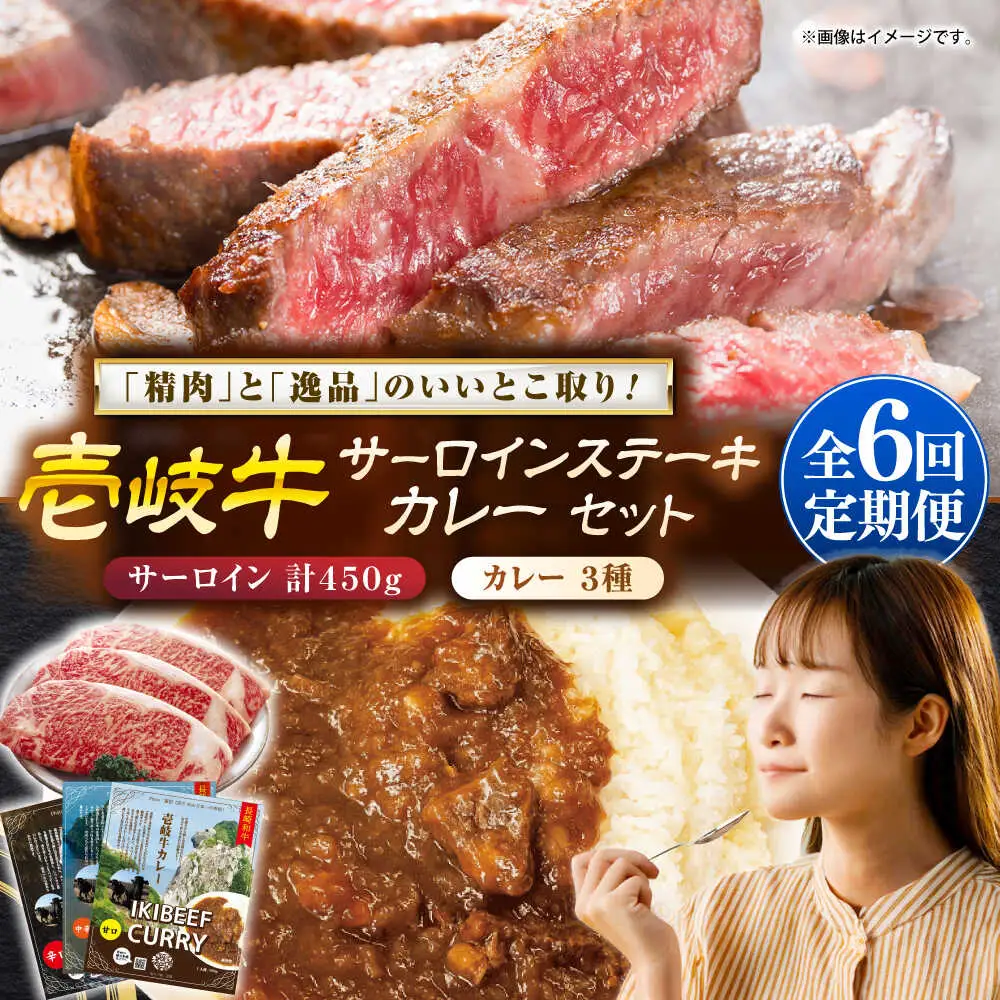 【全6回定期便】サーロインステーキ＆カレー3種 肉 和牛 [JDW117]