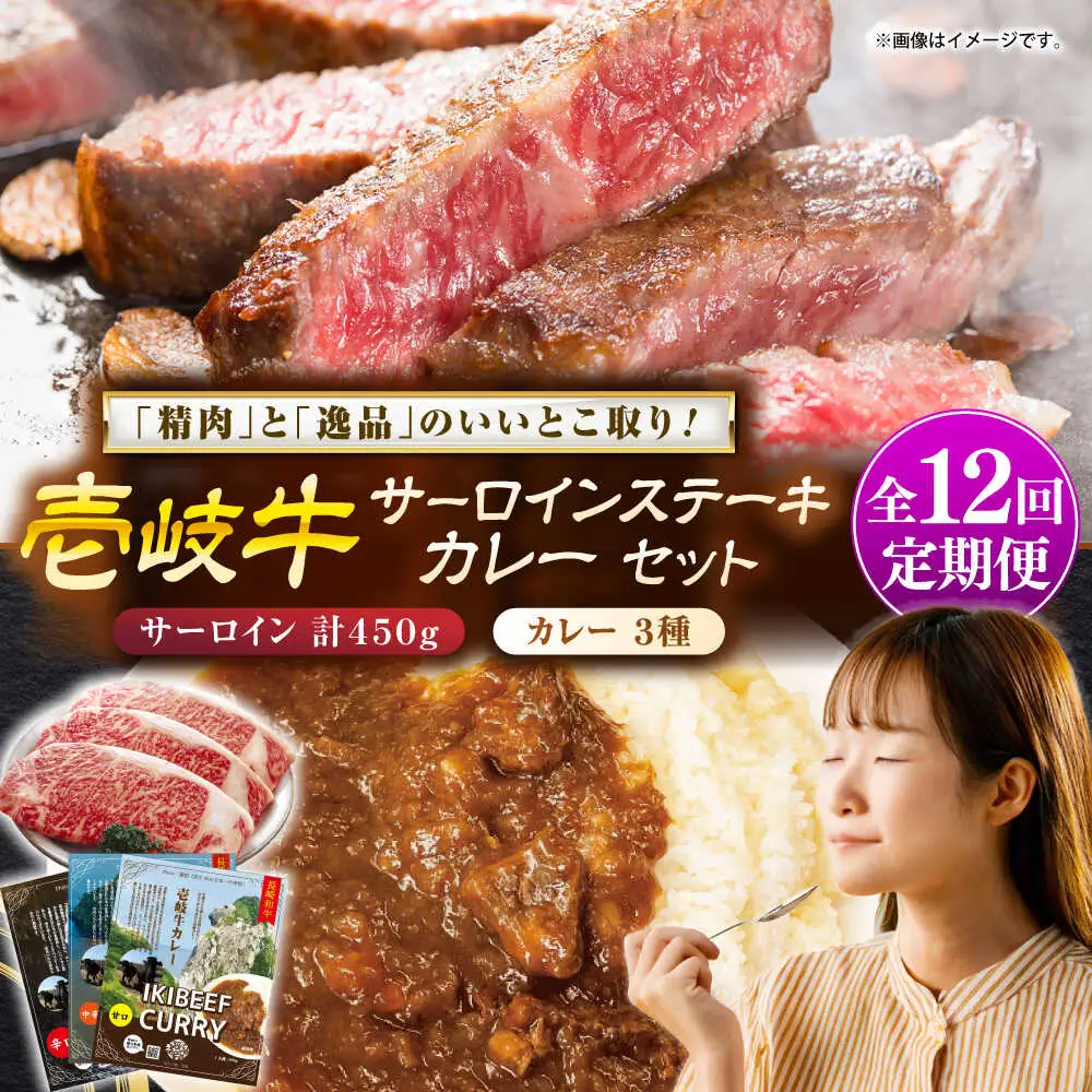 【全12回定期便】サーロインステーキ＆カレー3種 肉 和牛 [JDW118]