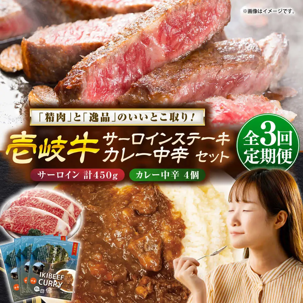【全3回定期便】サーロインステーキ＆カレー中辛 肉 和牛 [JDW119]