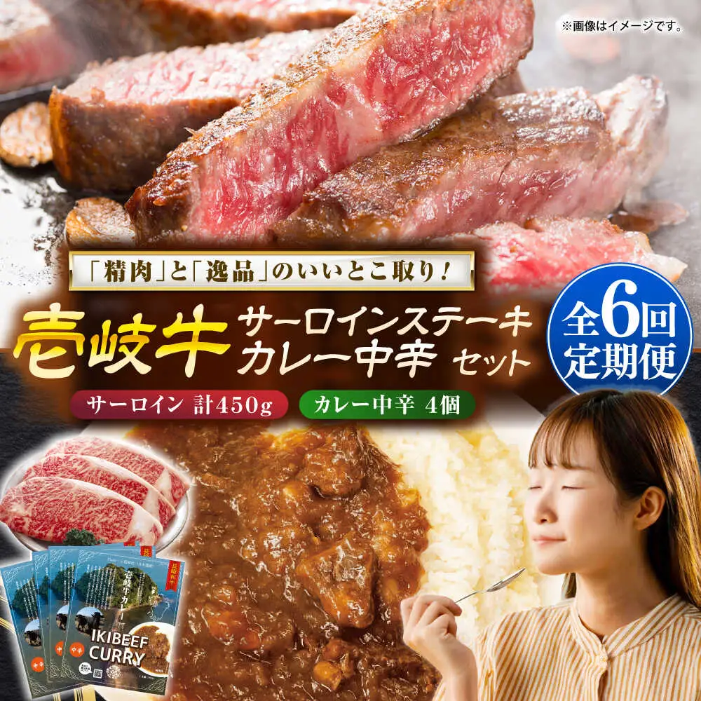 【全6回定期便】サーロインステーキ＆カレー中辛 肉 和牛 [JDW120]