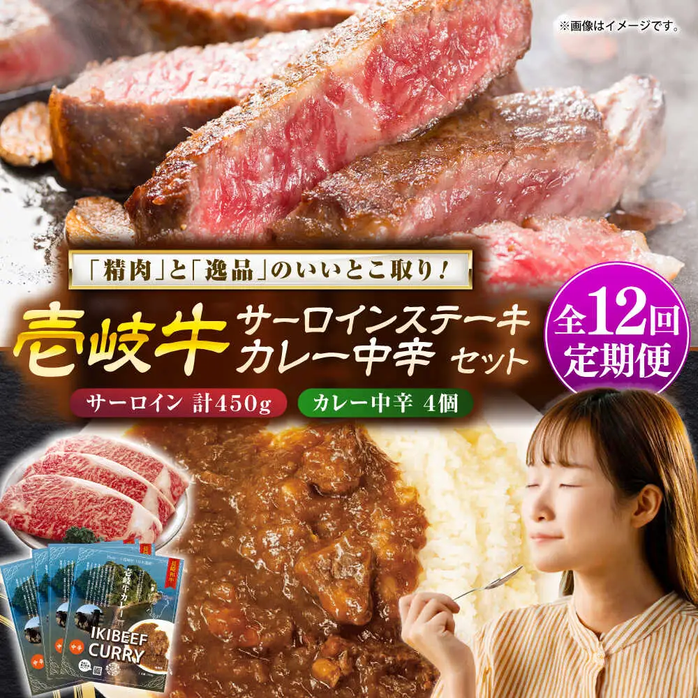 【全12回定期便】サーロインステーキ＆カレー中辛 肉 和牛 [JDW121]