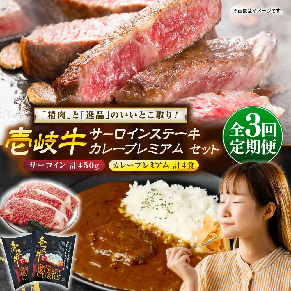 【全3回定期便】サーロインステーキ＆カレープレミアム 肉 和牛 [JDW125]