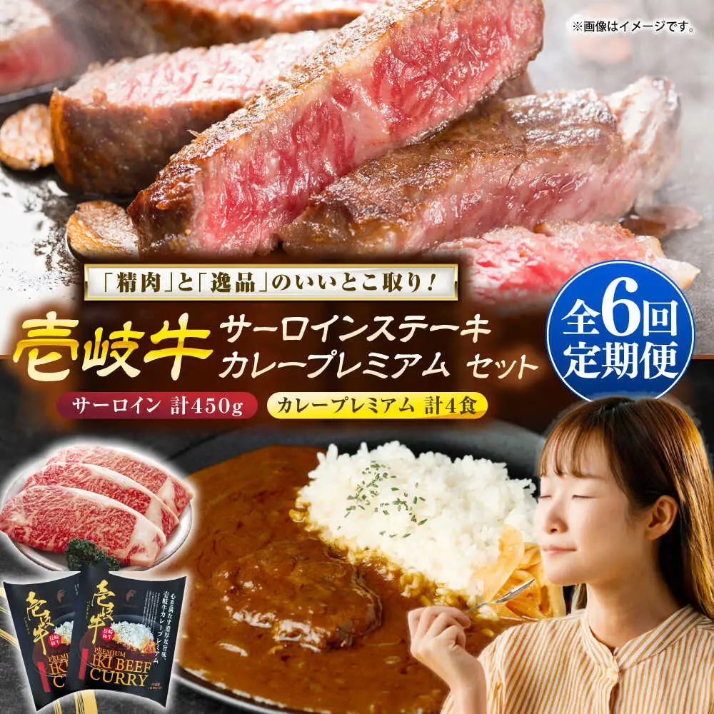 【全6回定期便】サーロインステーキ＆カレープレミアム 肉 和牛 [JDW126]