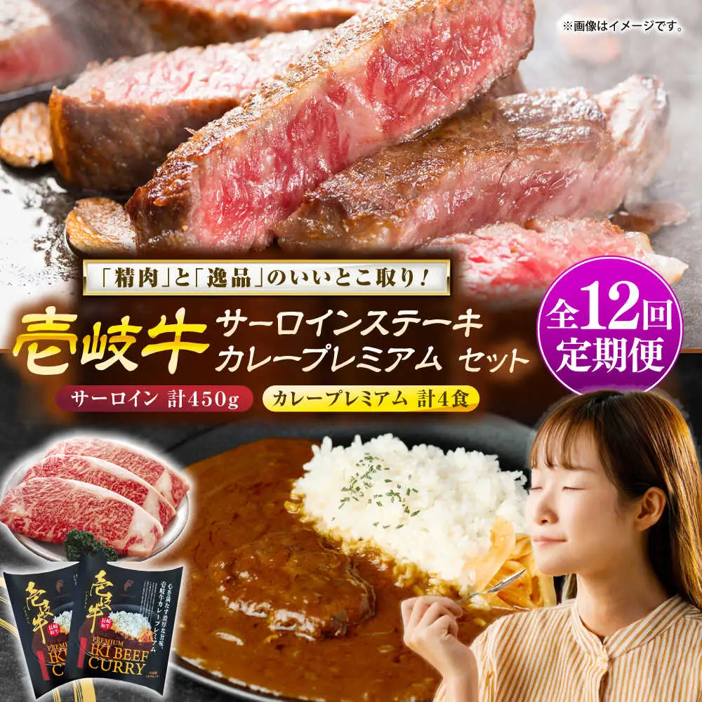【全12回定期便】サーロインステーキ＆カレープレミアム 肉 和牛 [JDW127]