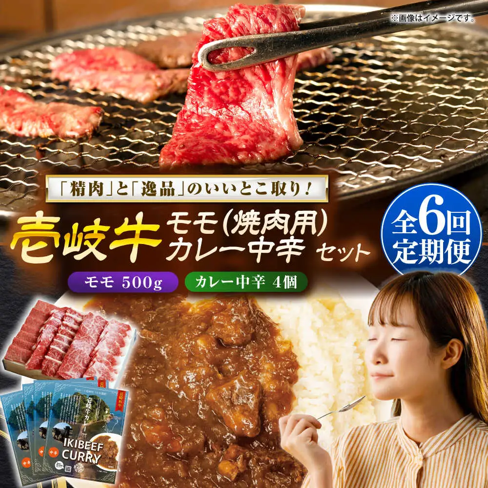 【全6回定期便】モモ＆カレー中辛 和牛 焼肉 [JDW132]