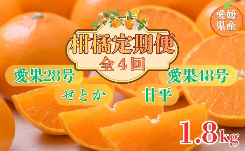 【2026年先行予約】柑橘定期便 全4回 【12月から順次発送予定】 約1.8kg みかん 愛果28号 せとか 甘平 愛果48号 柑橘 定期 数量限定 人気 愛媛 伊予市｜E38