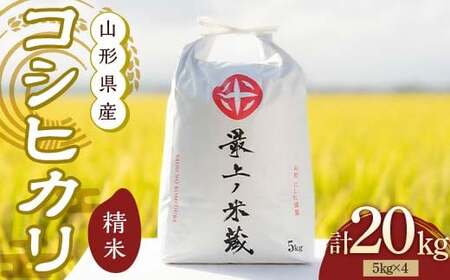 令和7年産 コシヒカリ 5kg×4 計20kg 精米 【最上ノ米蔵】 山形県産 こしひかり こめ 米 白米 F3S-2687