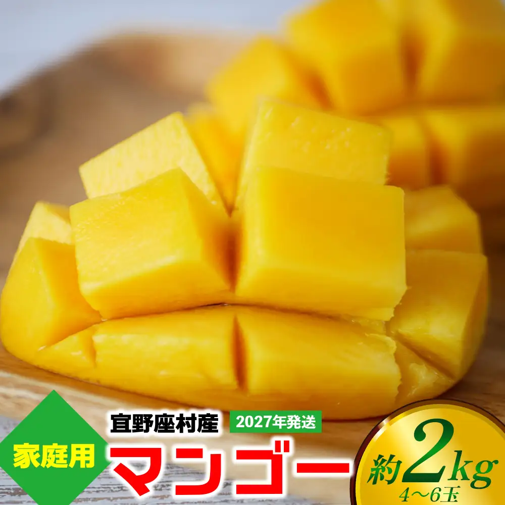 【2027年発送】ご家庭用マンゴー 約2kg（4～6玉）【宜野座村産】