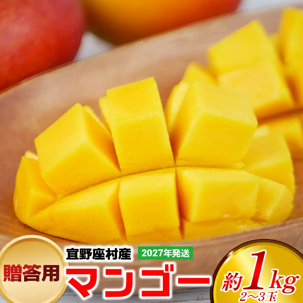 【2027年発送】贈答用マンゴー 約1kg（2～3玉）【宜野座村産】