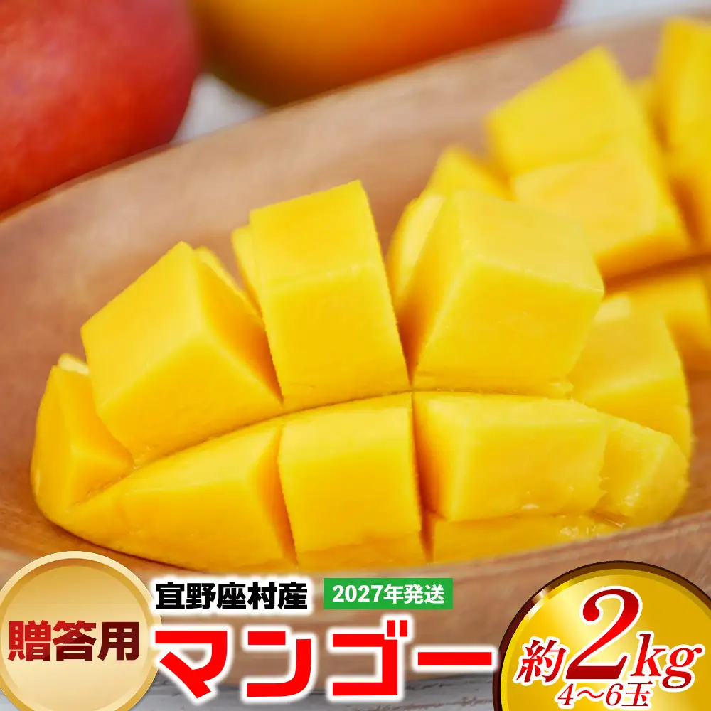 【2027年発送】贈答用マンゴー 約2kg（4～6玉）【宜野座村産】
