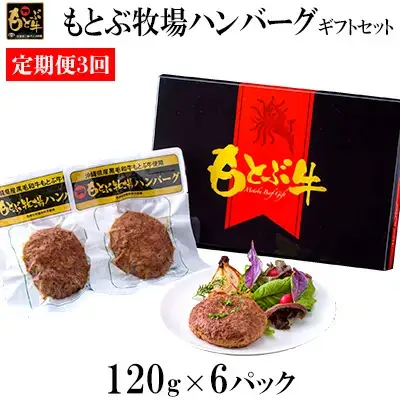 ハンバーグ【定期便3回】もとぶ牧場ハンバーグギフトセット（120g×6パック）