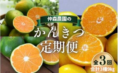 みかん 定期便 3回 計9kg 【超極早生温州・極早生温州・由良早生】みかん【nkmr-tkb0007】