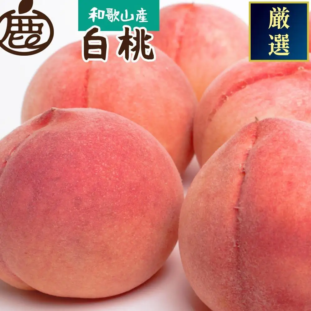 ［先行予約］和歌山の厳選白桃 約1kg［白鳳・清水白桃・川中島・もも・はくとう］［化粧箱入り］［IKE316］