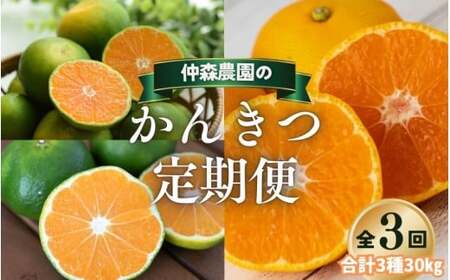 みかん 定期便 3回 計30kg【超極早生温州・極早生温州・早生温州】みかん【nkmr-tkb0018】