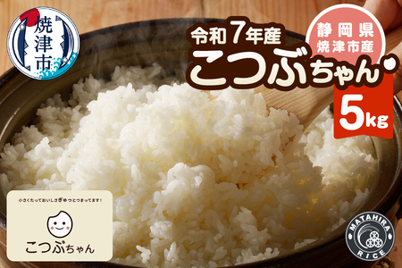 令和７年産 おいしく節約 しあわせごはん お米の小粒ちゃん 5kg (a10-1320)