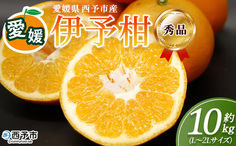 ＜秀品 伊予柑 (L～2Lサイズ) 約10kg＞蜜柑 ミカン みかん 果物 フルーツ 柑橘 いよかん 宮内伊予柑 西宇和 果汁 ジューシー 果肉 国産 愛媛県産 西予市産 ギフト 贈答用 特産品 丸二青果 愛媛県 西予市【常温】『2026年1月～3月に順次出荷予定』MMY0012