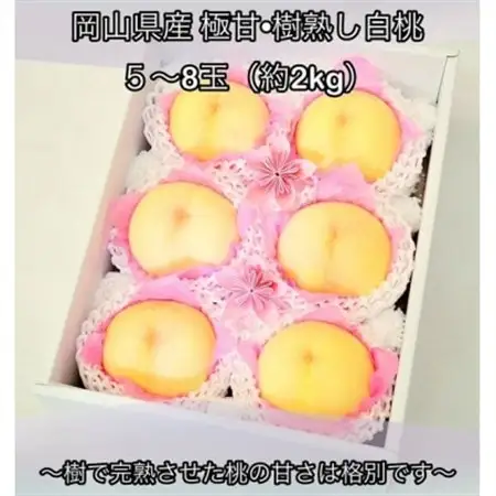 【2027年発送】岡山県産  極甘・樹熟し白桃 5-8玉(約2kg) 化粧箱入り【配送不可地域：離島】【1707557】