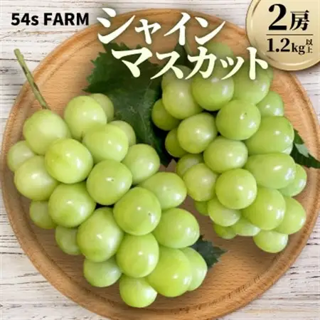 54s FARM のシャインマスカット 計2房 (1.2kg以上)【9月上旬～11月上旬出荷】【配送不可地域：離島・北海道・沖縄県】【1645825】