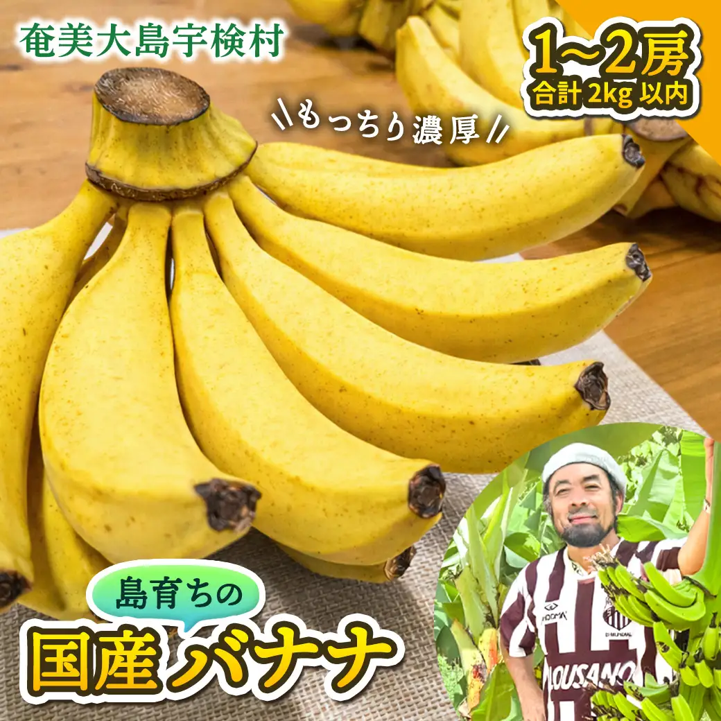【先行予約】完熟 三尺 バナナ 〈4月より順次発送〉完熟バナナ 国産 フルーツ 果物 奄美大島 宇検村 家庭用 贈答 数量限定 プリン専門店 che