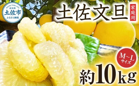 【先行予約】楠瀬さんの土佐文旦 家庭用 約10kg M?Lサイズ 24?30玉〈2027年2月15日?2027年4月5日発送〉 / ぶんたん ブンタン 文旦 フルーツ 柑橘 みかん 果物 くだもの 柑橘類 デザート お取り寄せ 国産 常温 配送【まる庄果樹園】[BQAF020]