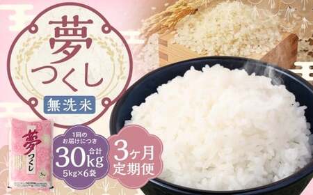 【3ヶ月定期便】 無洗米 食味鑑定士厳選 夢つくし 30kg（5kg×6袋）×3回 計90kg 米 こめ コメ お米 精米 単一原料米 ごはん ご飯 ライス おにぎり