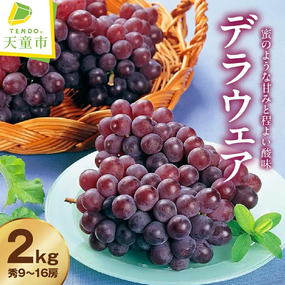 ぶどう デラウェア 2kg フルーツ 果物 山形 ブドウ