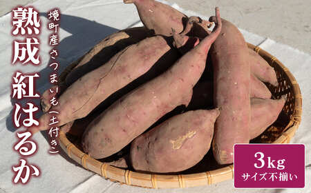 【数量限定】境町産 熟成紅はるか さつまいも 約3kg (SS～S) 土付き K2691