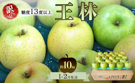 りんご【1月・2月発送】糖度13度以上 訳あり品 家庭用 王林 約10kg【青森りんご 果物 フルーツ デザート 食後 青森県産 産地直送】