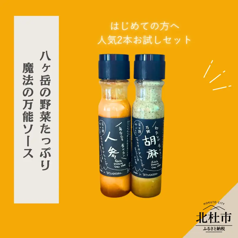 はじめてのフェリチタ（2本）　ドレッシング 調味料  詰め合わせ セット 200ml×2本 人参ドレッシング 胡麻ドレッシング 野菜 サラダ 温野菜 肉料理 たれ 食べ比べ 手づくり 八ヶ岳 栽培期間中農薬不使用 化学調味料不使用 保存料不使用 着色料不使用  [h097]