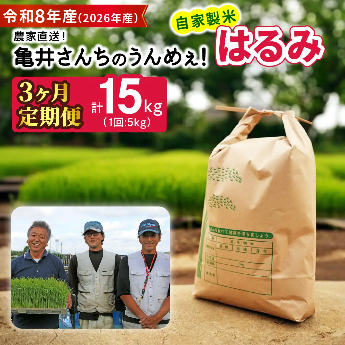 新米 [定期便／3ヶ月連続][令和8年産／10月中旬より順次発送] 伊勢原産 精米 5kg はるみ 農家直送！亀井さんちのうんめぇ！自家製米 [1137]