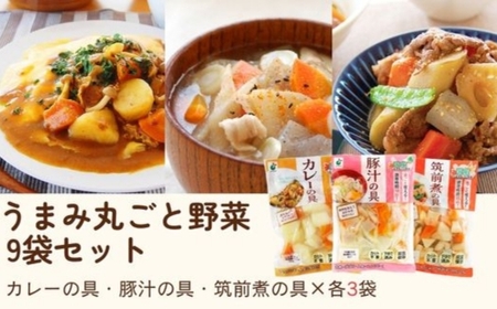 「うまみ丸ごと野菜シリーズ3種（カレーの具、豚汁の具、筑前煮の具）」×各3袋 ※離島への配送不可
